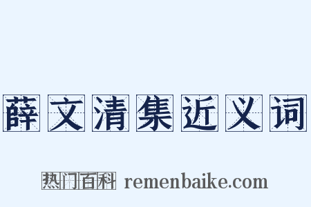 薛文清集近义词是什么意思的图片